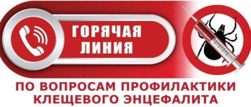 Всероссийская горячая линия по профилактике клещевого энцефалита и инфекций, передающихся клещами Всероссийская горячая линия по профилактике клещевого энцефалита и инфекций, передающихся клещами.