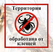 Акарицидная обработка территории ДОУ Акарицидная обработка территории ДОУ.