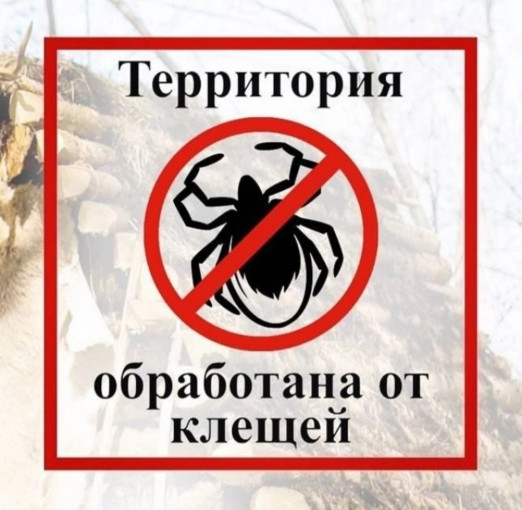 Акарицидная обработка территории ДОУ Акарицидная обработка территории ДОУ.