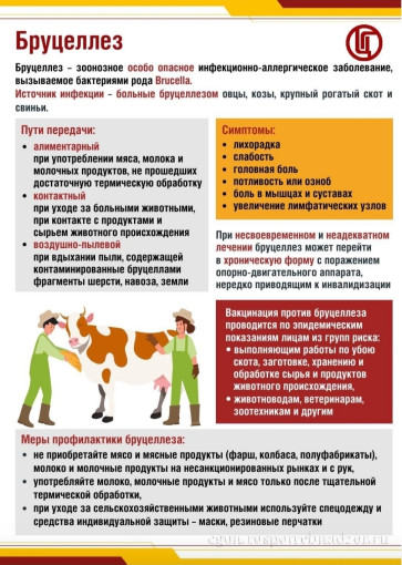 Бруцеллез Бруцеллез.